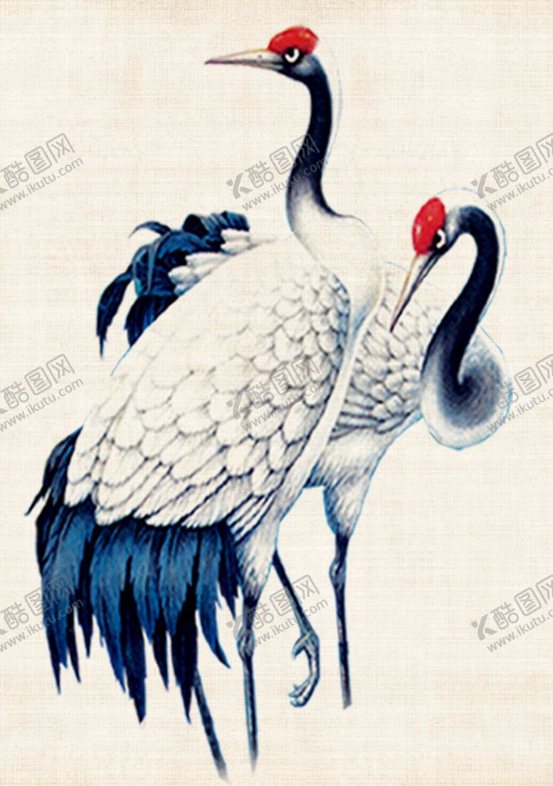 编号：56810409290327217364【酷图网】源文件下载-仙鹤      丹顶鹤    