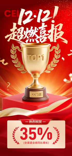 红金双十二电商战报
