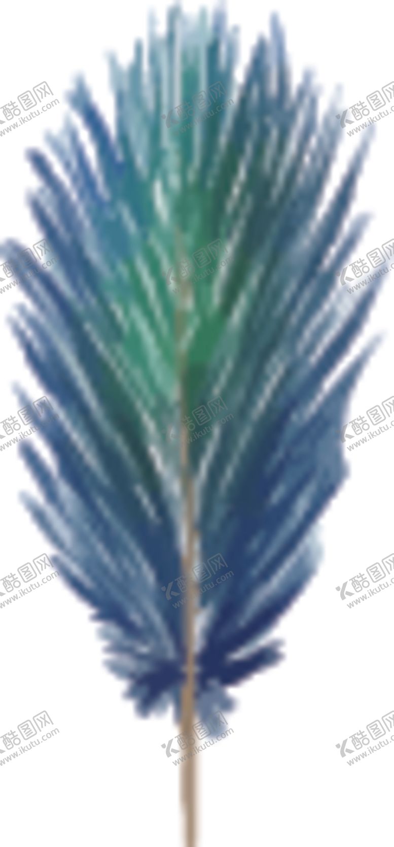 编号：84791207091756403723【酷图网】源文件下载-羽毛