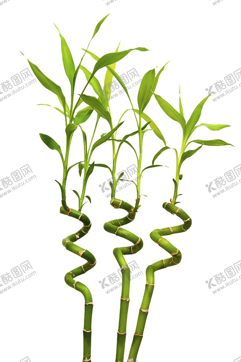 编号：93630607092022334915【酷图网】源文件下载-绿色植物