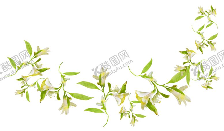 编号：90396606182213357052【酷图网】源文件下载-花边