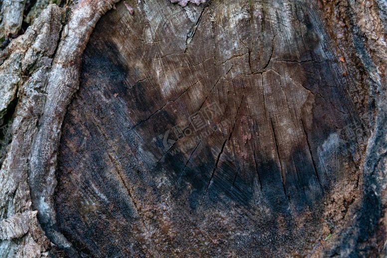 编号：32916607141450349069【酷图网】源文件下载-木纹