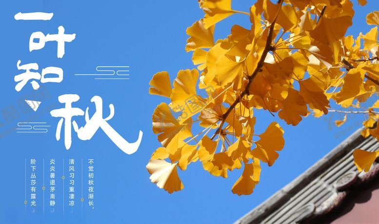 编号：80210410090816206412【酷图网】源文件下载-夏季