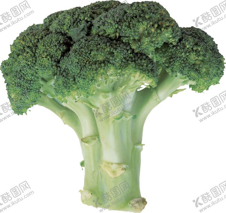 编号：83365306251250091924【酷图网】源文件下载-花菜
