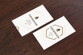 名片样机logo卡高档