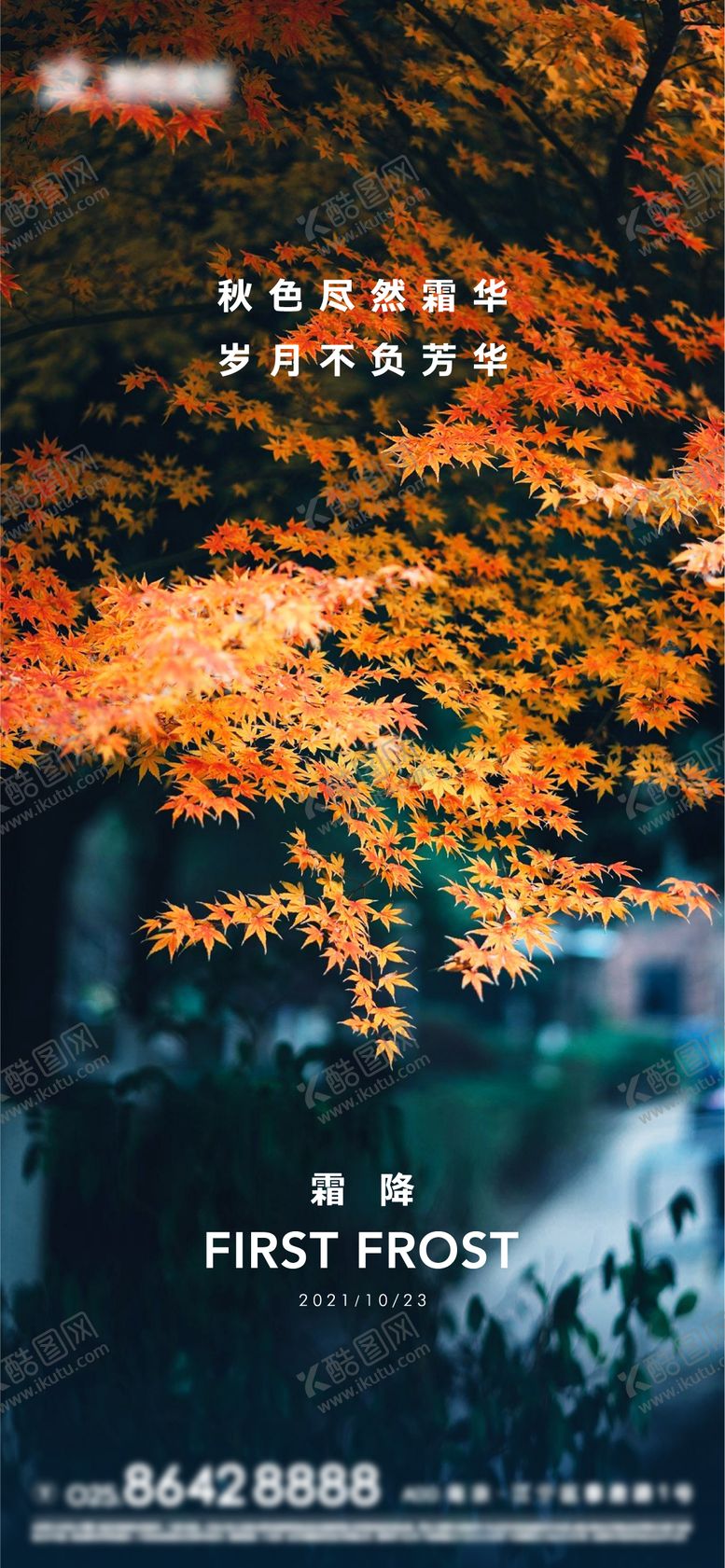 编号：32036410242319025120【酷图网】源文件下载-霜降节气海报