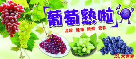 葡萄水果超市健康卫生