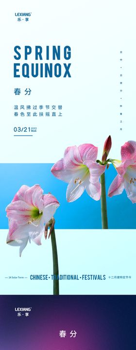 春分节气海报