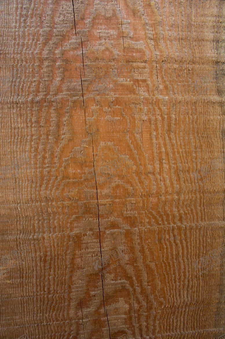 编号：76977609291125302412【酷图网】源文件下载-树皮