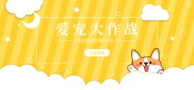 宠物