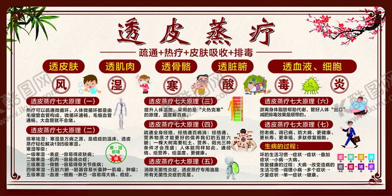 编号：91836611181433007775【酷图网】源文件下载-透皮蒸疗养生展板