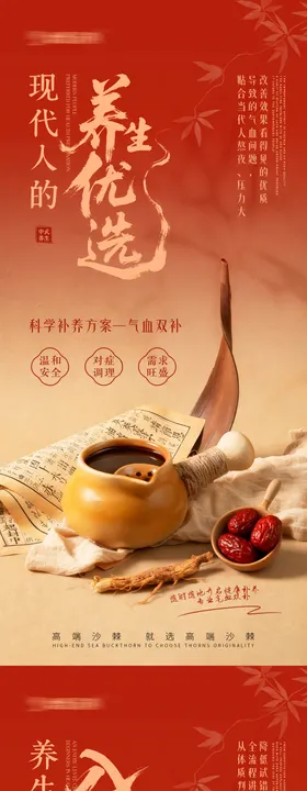 气血养生宣传海报