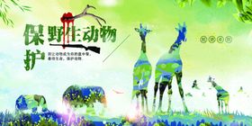 简约保护野生动物宣传海报