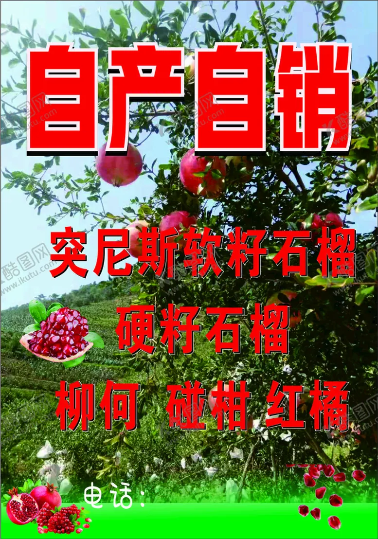 编号：79300210170012335725【酷图网】源文件下载-突尼斯软籽石榴  