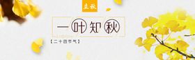 一叶知秋天设计背景立分