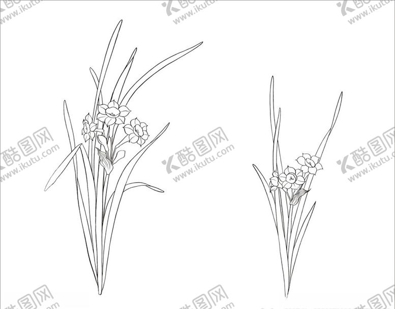 编号：36460305151348362659【酷图网】源文件下载-水仙花