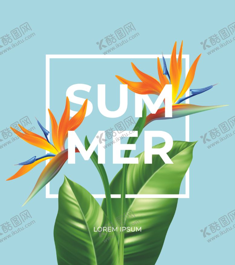 编号：69904405152324133393【酷图网】源文件下载-花朵背景植物