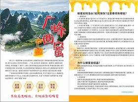 龙眼蜂蜜广西蜂蜜传单