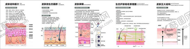 编号：68703104221652278073【酷图网】源文件下载-皮肤知识科普