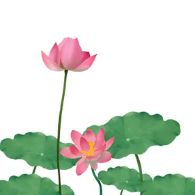 荷花元素