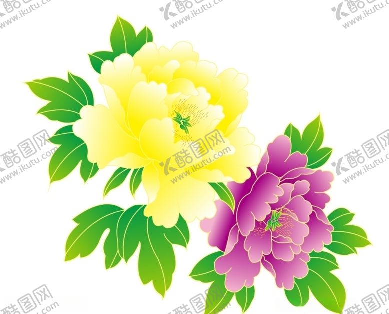 编号：45515309280303059752【酷图网】源文件下载-牡丹花上叁