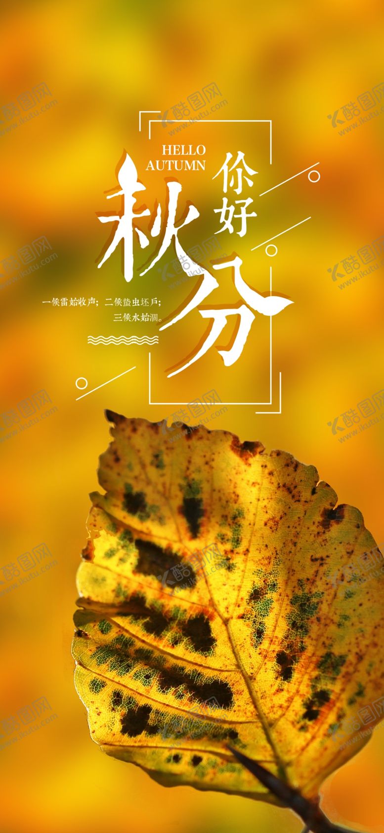 编号：31499706242319194844【酷图网】源文件下载-秋分手机海报