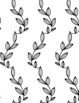 黑白简约线条植物绘画