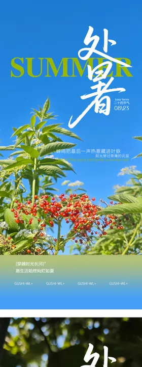 二十四节气处暑系列海报