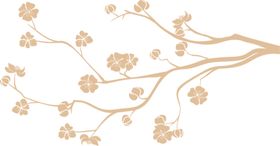花枝