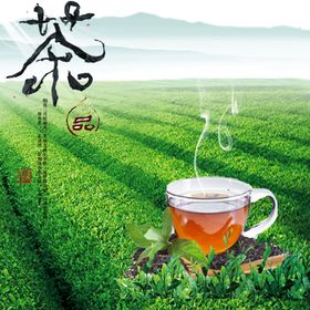 手绘清新红茶花茶盒子蓝色
