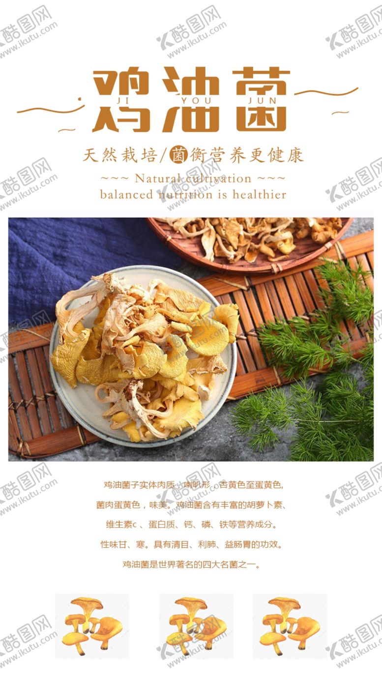 编号：43107701222310067460【酷图网】源文件下载-鸡油菌海报