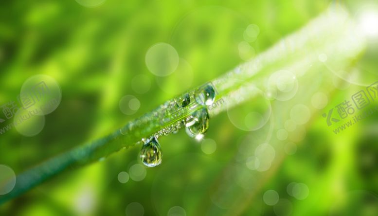 编号：32785209211046521659【酷图网】源文件下载-护眼壁纸