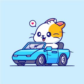 小猫开车