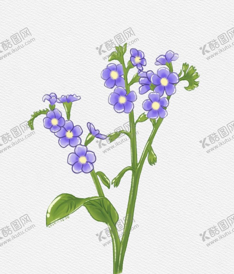 编号：24180504282348158338【酷图网】源文件下载-勿忘我水彩花