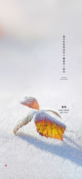 霜降传统节气