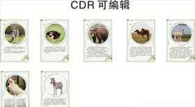 动物知识