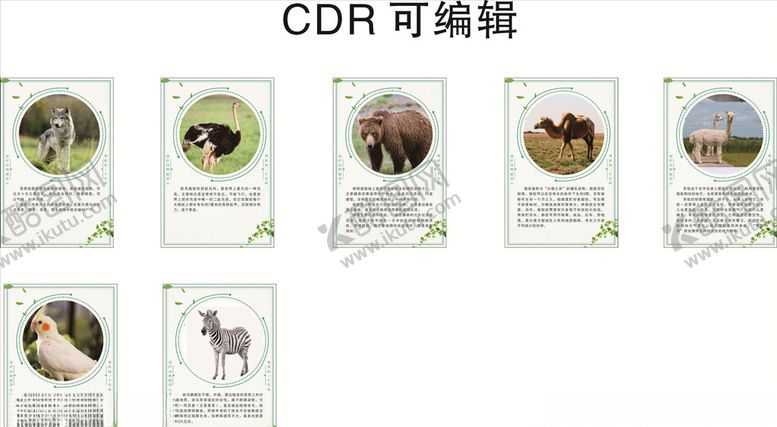 编号：93881106301534049030【酷图网】源文件下载-动物知识