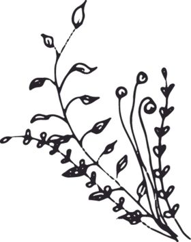 手绘花卉元素