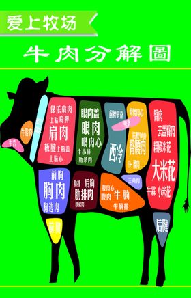 牛肉分解图