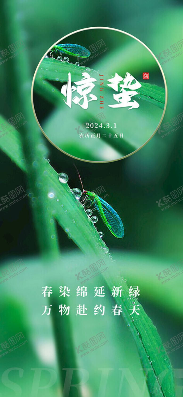 编号：54400901300521043156【酷图网】源文件下载-绿色简约惊蛰海报