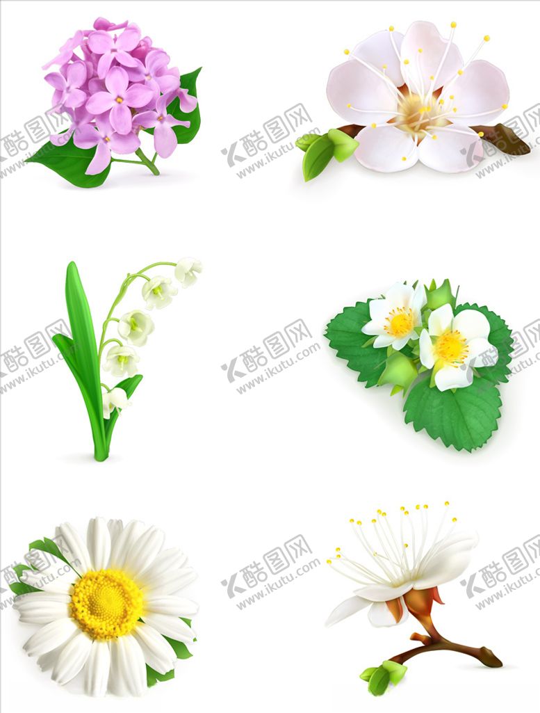 编号：85973610270327533327【酷图网】源文件下载-矢量花朵
