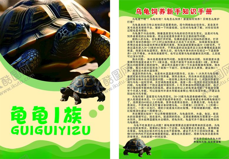 编号：75746404022152227752【酷图网】源文件下载-龟类物种介绍乌龟饲养新手知识