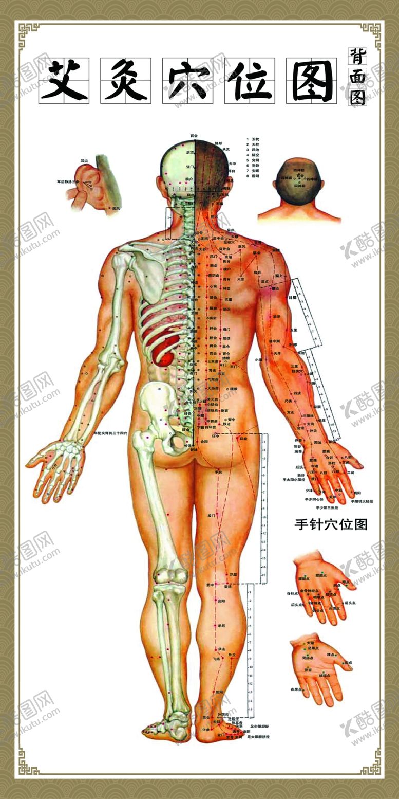 编号：53062809210019429056【酷图网】源文件下载-艾灸穴位图正面
