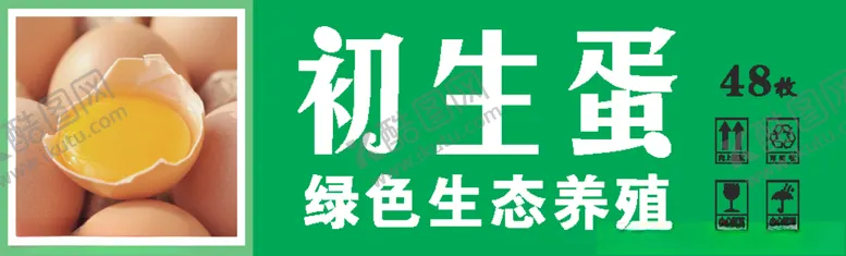 编号：26185809111801191282【酷图网】源文件下载-初生蛋