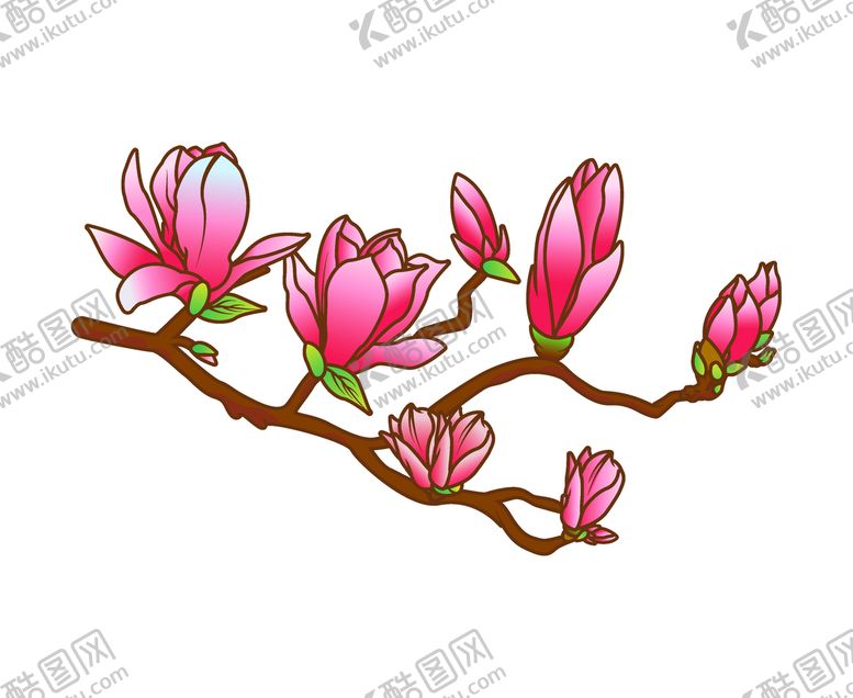 编号：62508409122116216971【酷图网】源文件下载-手绘玉兰花矢量图花朵树枝花朵