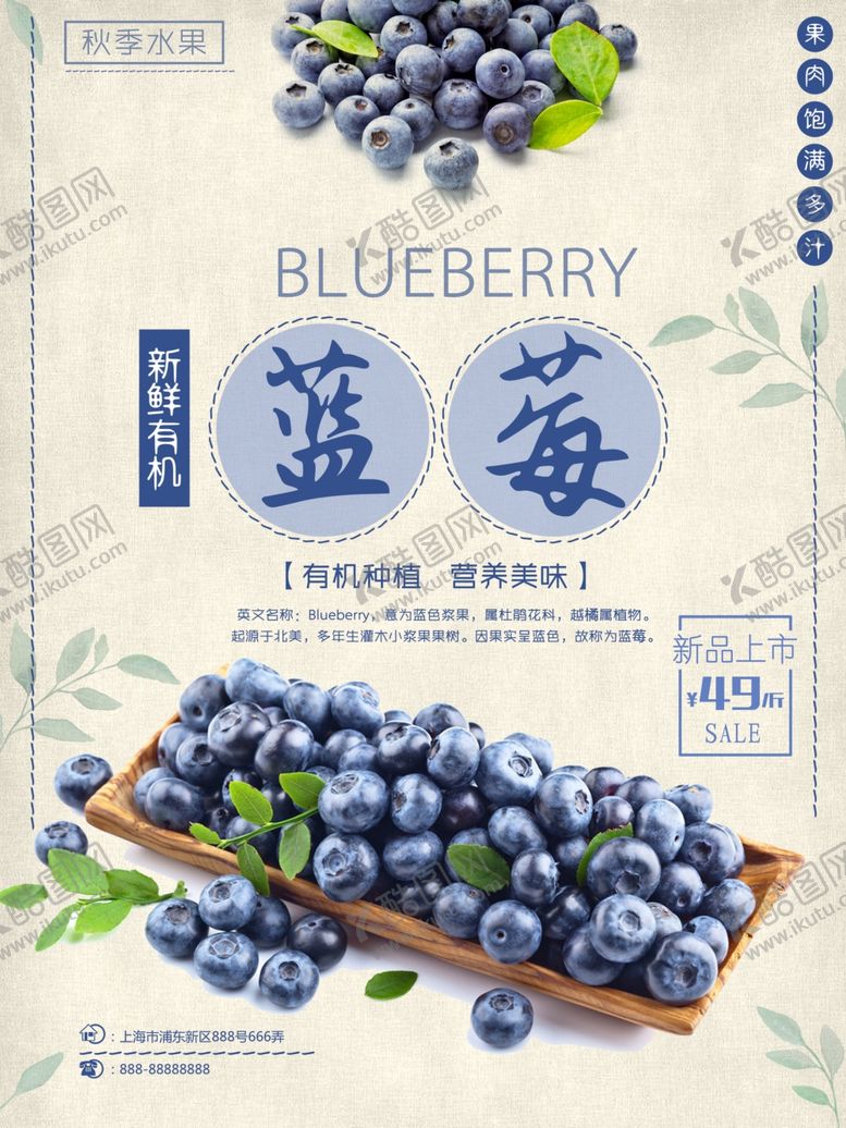 编号：84150306270256017318【酷图网】源文件下载-水果海报
