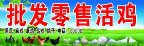 活鸡宣传