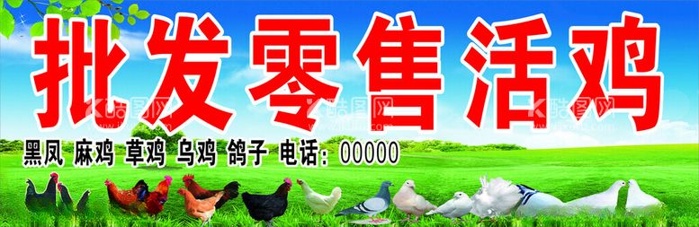 编号：85949702050909395788【酷图网】源文件下载-批发活鸡