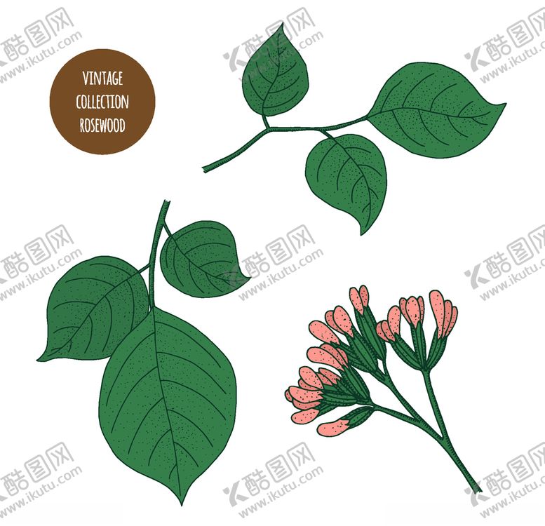 编号：92624809152340093116【酷图网】源文件下载-植物线稿