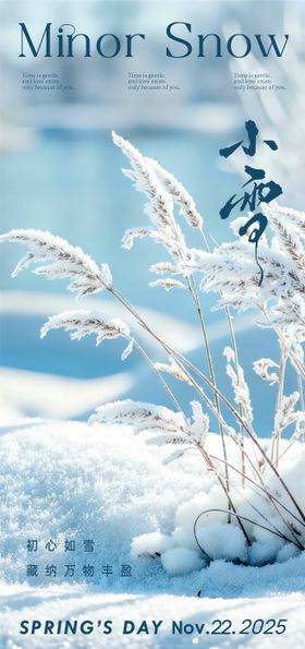 小雪海报